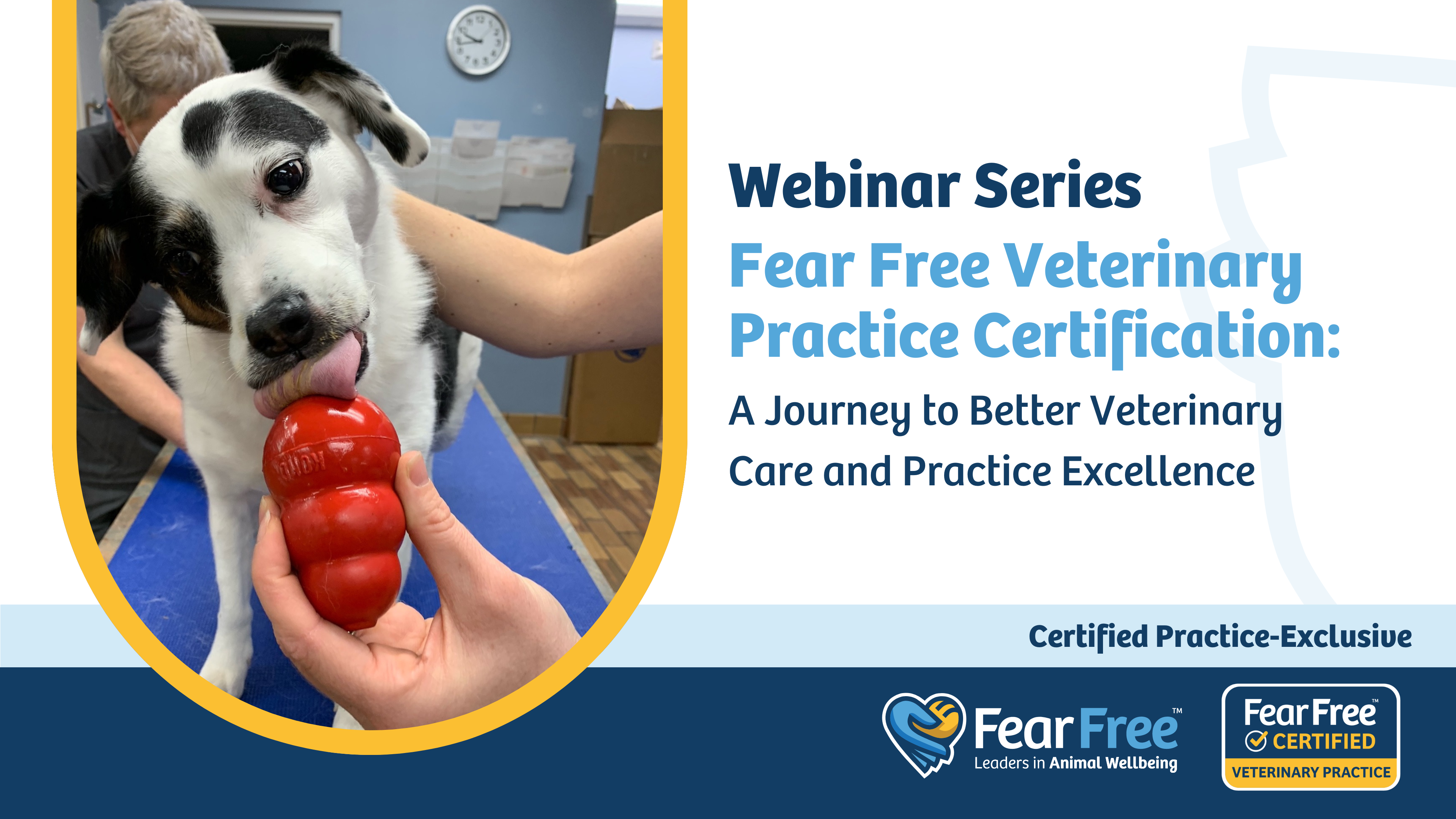 A Journey to Better Vet Care Webinar