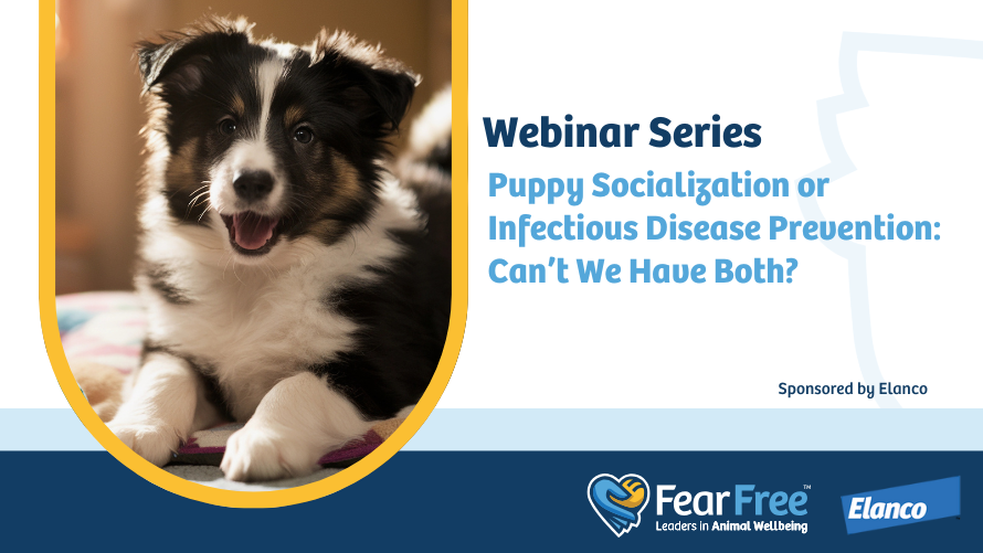 Puppy Socialization or Infectious Disease Prevention: Can't We Have Both?