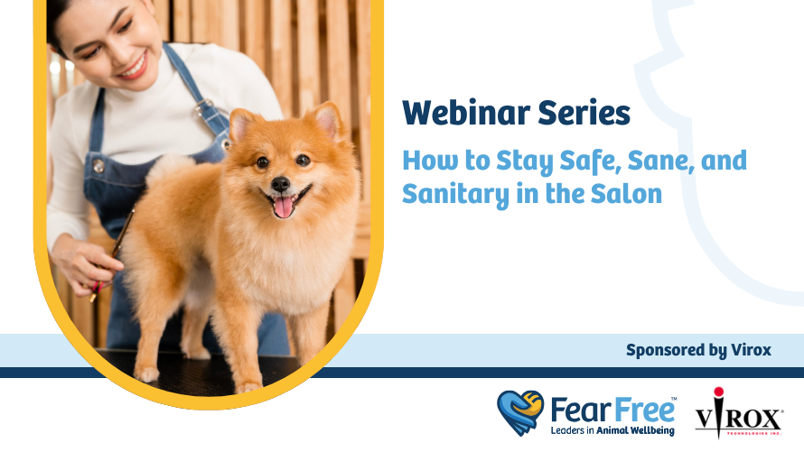 Webinar Series How to Stay Safe, Sane, and Sanitary in the Salon