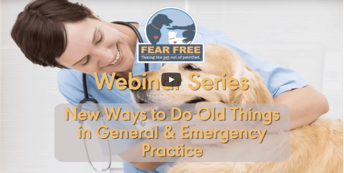 |||||||||||||||||||||||||||